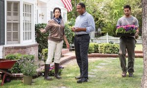 What Are the Different Lawn Coverage Options?